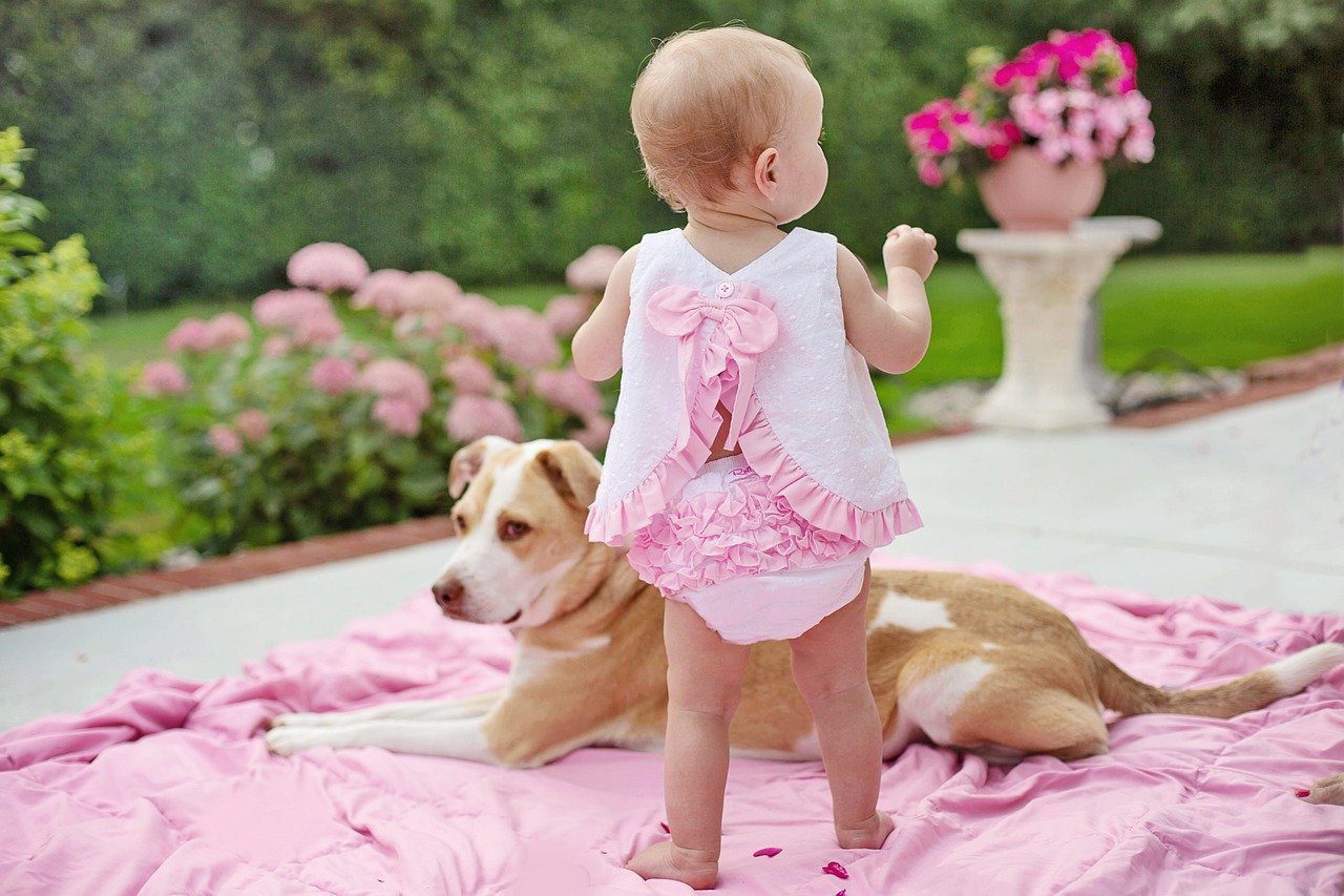 baby with dog 7388048 1280 1